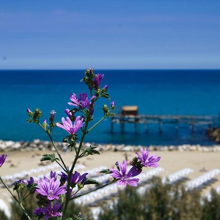 Nel Cuore Del Borgo Antico Termoli Εξωτερικό φωτογραφία